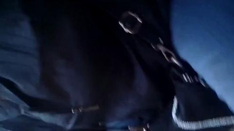 46681