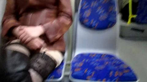 29341