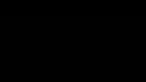 38803