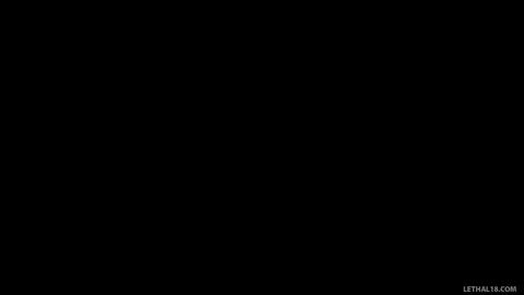 37233